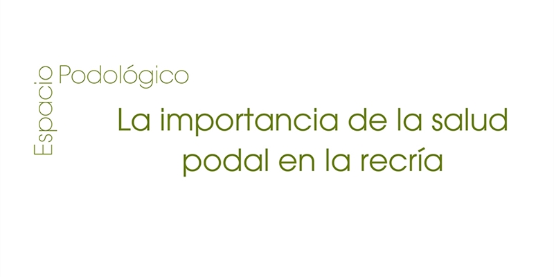 La importancia de la salud podal en la recr�a