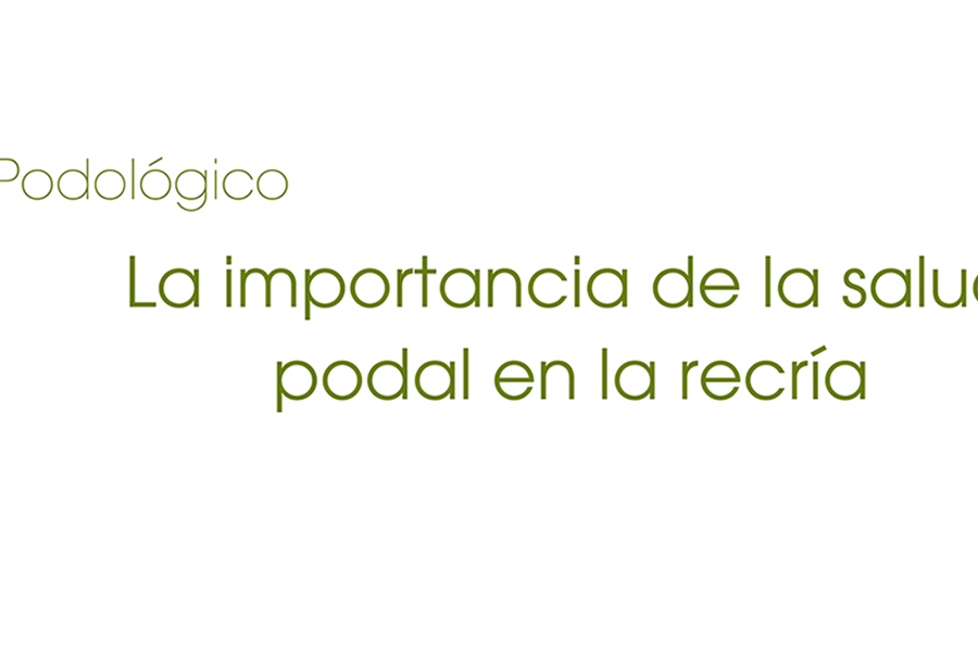 La importancia de la salud podal en la recr�a