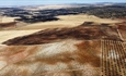 Los incendios tambi�n arrasan explotaciones del sector primario: m�s de 116.500 hect�reas agr�colas sufren siniestro por incendio en la �ltima d�cada