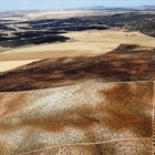 Los incendios tambi�n arrasan explotaciones del sector primario: m�s de 116.500 hect�reas agr�colas sufren siniestro por incendio en la �ltima d�cada
