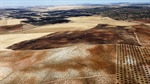 Los incendios tambi�n arrasan explotaciones del sector primario: m�s de 116.500 hect�reas agr�colas sufren siniestro por incendio en la �ltima d�cada