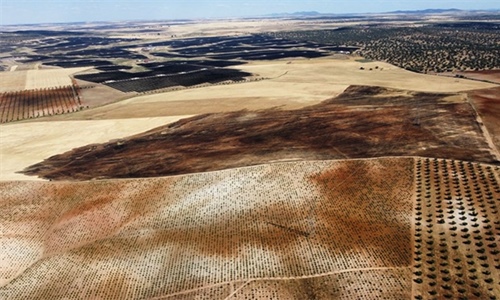 Los incendios tambi�n arrasan explotaciones del sector primario: m�s de...