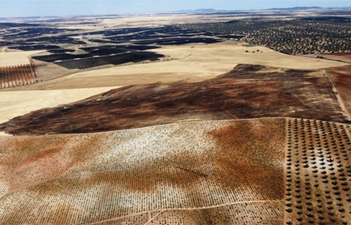 Los incendios tambi�n arrasan explotaciones del sector primario: m�s de...