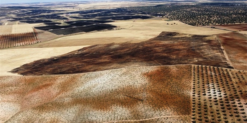 Los incendios tambi�n arrasan explotaciones del sector primario: m�s de 116.500 hect�reas agr�colas sufren siniestro por incendio en la �ltima d�cada