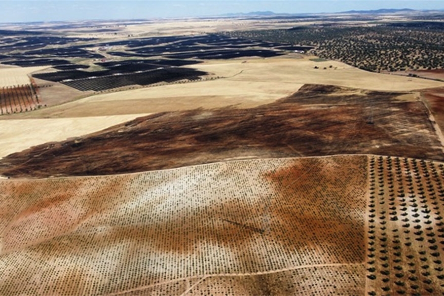 Los incendios tambi�n arrasan explotaciones del sector primario: m�s de...