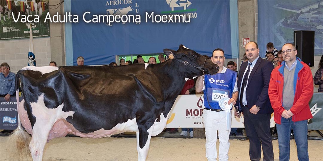 La pr�xima edici�n de Moexmu se celebrar� del 2 al 4 de abril de 2027