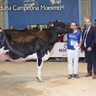 La pr�xima edici�n de Moexmu se celebrar� del 2 al 4 de abril de 2027