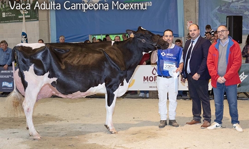 La pr�xima edici�n de Moexmu se celebrar� del 2 al 4 de abril de 2027