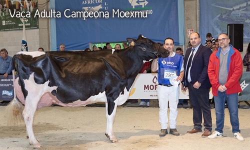 La pr�xima edici�n de Moexmu se celebrar� del 2 al 4 de abril de 2027