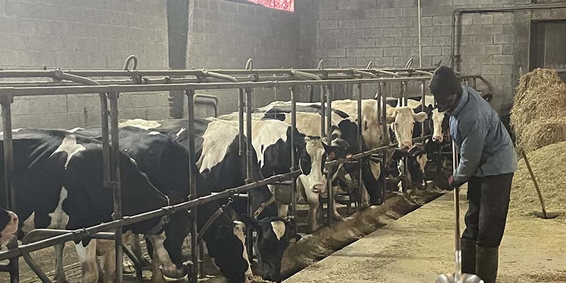 Asturias confirma un foco de lengua azul, con dos casos en una...