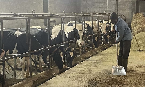 Asturias confirma un foco de lengua azul, con dos casos en una...