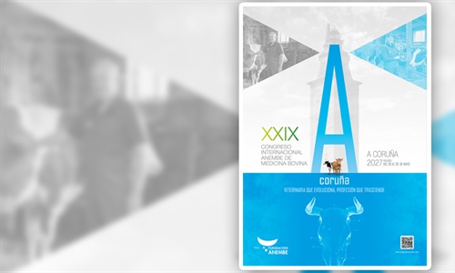 XXIX Congreso Internacional ANEMBE de Medicina Bovina 2027