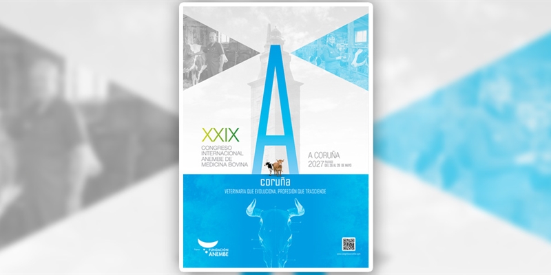 XXIX Congreso Internacional ANEMBE de Medicina Bovina 2027