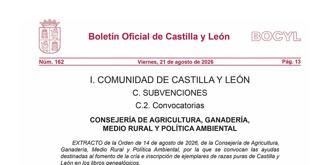 Castilla y Le�n convoca ayudas por dos millones de euros para fomentar...