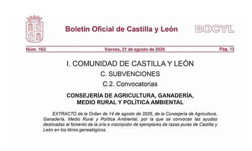 Castilla y Le�n convoca ayudas por dos millones de euros para fomentar...