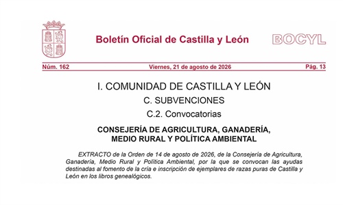 Castilla y Le�n convoca ayudas por dos millones de euros para fomentar...