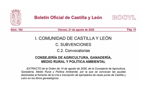 Castilla y Le�n convoca ayudas por dos millones de euros para fomentar...