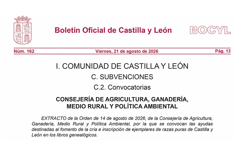 Castilla y Le�n convoca ayudas por dos millones de euros para fomentar...