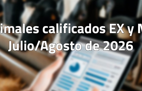 Animales calificados EX y MB en julio y agosto de 2026