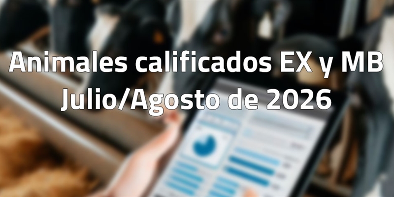 Animales calificados EX y MB en julio y agosto de 2026