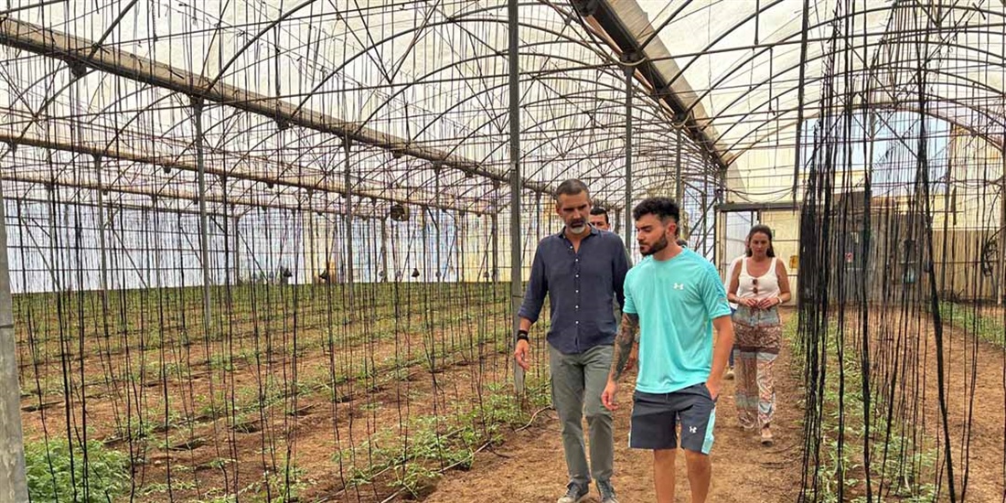 Andaluc�a impulsa el relevo generacional en el campo con ayudas para...
