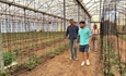Andaluc�a impulsa el relevo generacional en el campo con ayudas para 2.445 j�venes agricultores y ganaderos