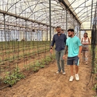 Andaluc�a impulsa el relevo generacional en el campo con ayudas para 2.445 j�venes agricultores y ganaderos