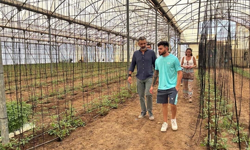 Andaluc�a impulsa el relevo generacional en el campo con ayudas para...