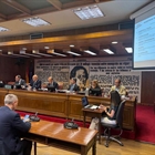 La red Somos Ganader�a reclama al Senado ayudas e instrumentos para la ganader�a espa�ola ante las crisis sanitarias y vaivenes del mercado
