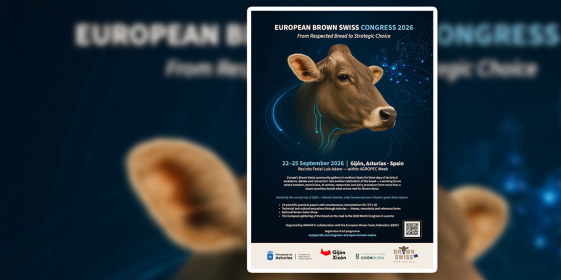 El Congreso Europeo Brown Swiss reunir� en Gij�n a criadores e...