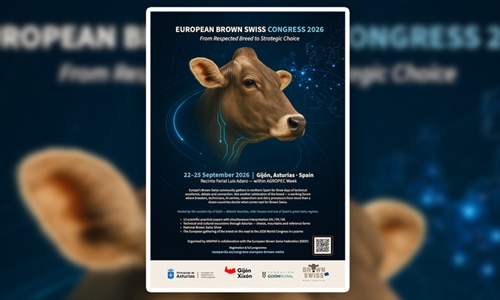El Congreso Europeo Brown Swiss reunir� en Gij�n a criadores e...