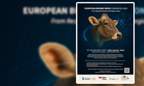 El Congreso Europeo Brown Swiss reunir� en Gij�n a criadores e...