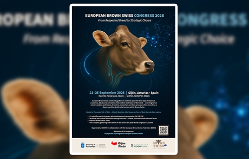 El Congreso Europeo Brown Swiss reunir� en Gij�n a criadores e...