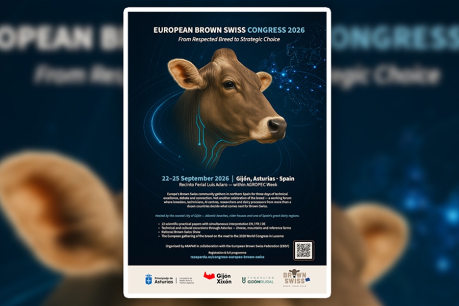 El Congreso Europeo Brown Swiss reunir� en Gij�n a criadores e...