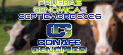 Actualizaci�n de las pruebas gen�micas de Hembras CONAFE septiembre 2026