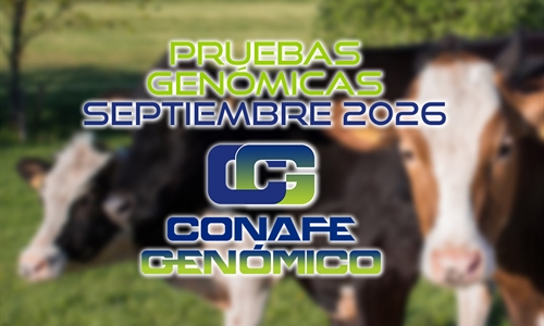 Actualizaci�n de las pruebas gen�micas de Hembras CONAFE septiembre 2026