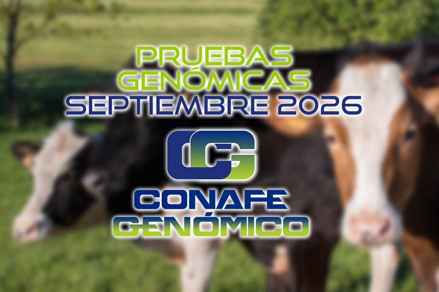 Actualizaci�n de las pruebas gen�micas de Hembras CONAFE septiembre 2026