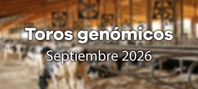 Nuevos toros gen�micos con Prueba Oficial: Evaluaci�n gen�mica septiembre 2026
