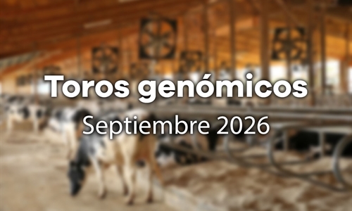 Nuevos toros gen�micos con Prueba Oficial: Evaluaci�n gen�mica...