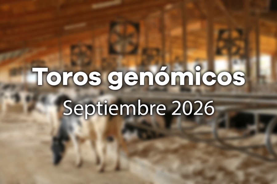 Nuevos toros gen�micos con Prueba Oficial: Evaluaci�n gen�mica...