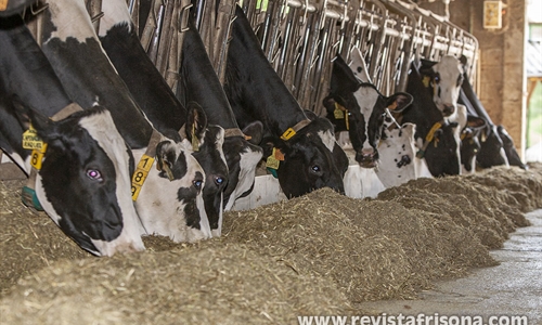 Uni�n de Uniones anima a sus ganaderos de vacuno de leche a forzar una...