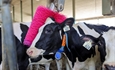DeLaval Espa�a y Portugal reafirma su compromiso con la lucha contra el c�ncer de mama