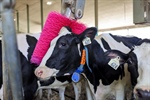DeLaval Espa�a y Portugal reafirma su compromiso con la lucha contra el c�ncer de mama