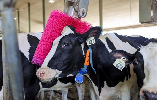 DeLaval Espa�a y Portugal reafirma su compromiso con la lucha contra el...