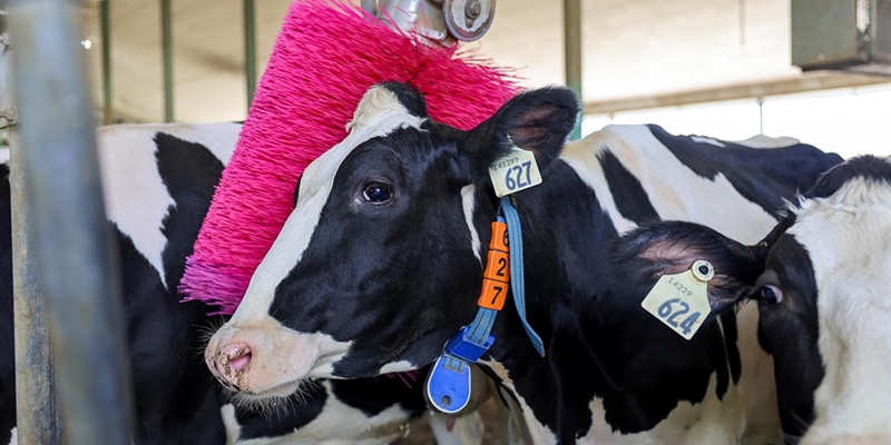 DeLaval Espa�a y Portugal reafirma su compromiso con la lucha contra el c�ncer de mama