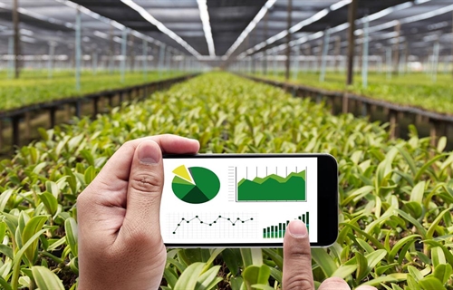 Casi 2.000 agricultores y ganaderos reciben los 9,4 millones de euros...