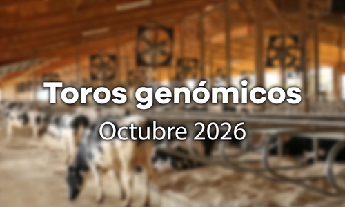 Nuevos toros gen�micos con Prueba Oficial: Evaluaci�n gen�mica octubre 2026