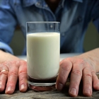 Uni�n de Uniones alerta de bajadas de precio en la leche y anuncia una manifestaci�n en Madrid el pr�ximo 28 de octubre