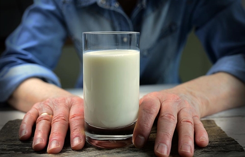 Uni�n de Uniones alerta de bajadas de precio en la leche y anuncia una...