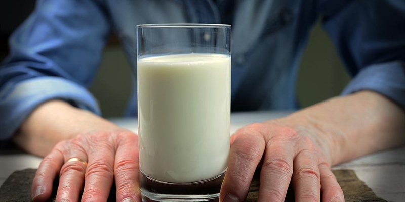 Uni�n de Uniones alerta de bajadas de precio en la leche y anuncia una manifestaci�n en Madrid el pr�ximo 28 de octubre
